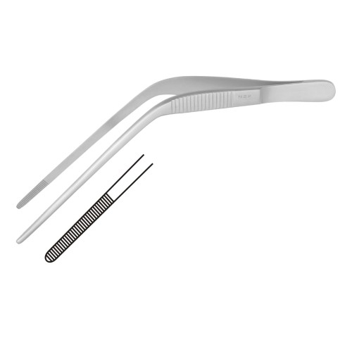 Alligator & Ear Forceps