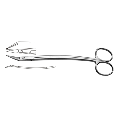 Dean Tonsil Scissor Toothed Manufacturers, Exporters, Sialkot, Pakistan