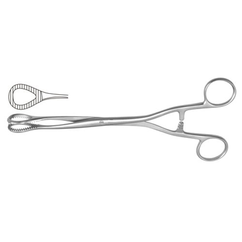 Sponge Holding Forcep Manufacturers, Suppliers, Sialkot, Pakistan